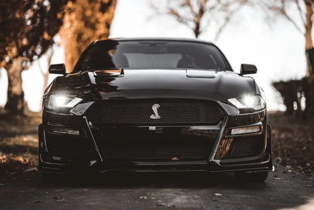 Lapilanders Cazino Cazinou Aplicație Android/iOS